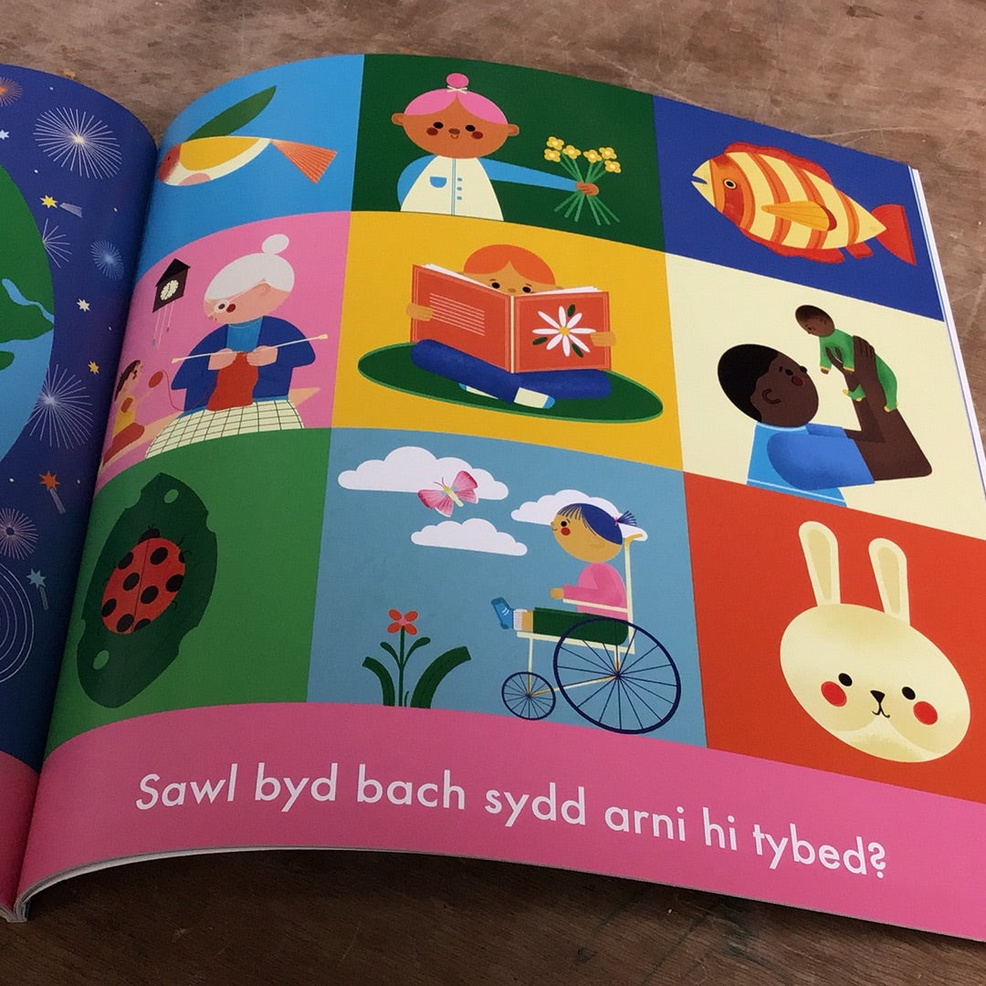 Byd Bach dy Hun +