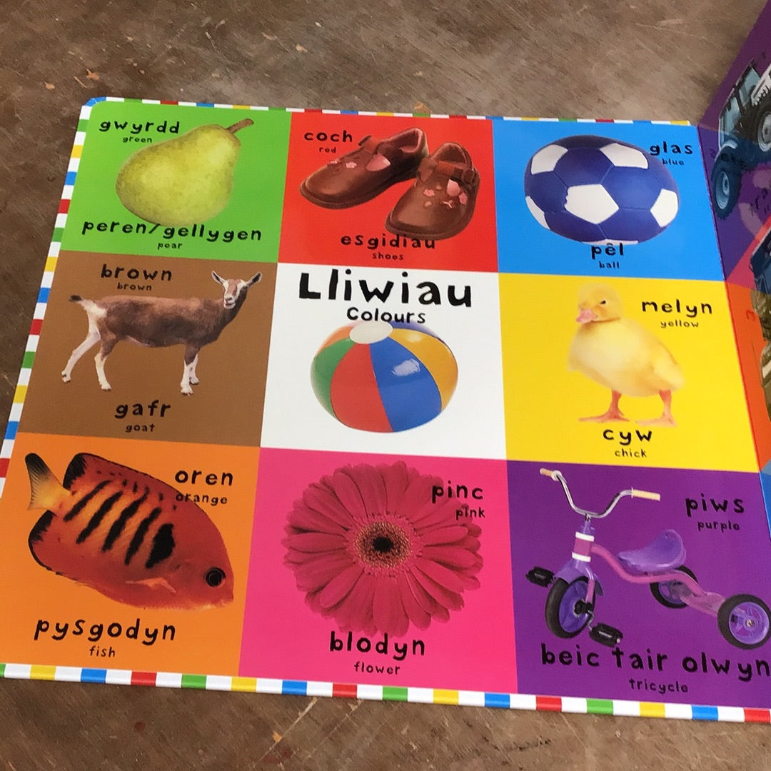 100 Geiriau Cyntaf / First 100 Words in Welsh