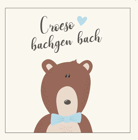 New baby card 'Croeso bachgen bach'