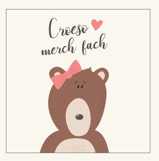 New baby card 'Croeso merch fach'