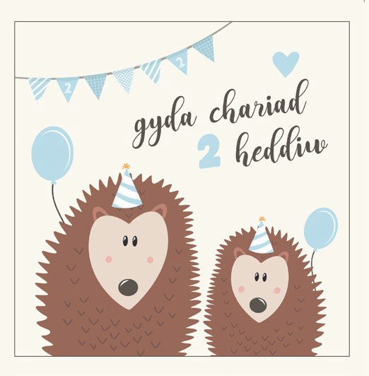 Birthday card '2 heddiw! Gyda chariad' 2 today - blue