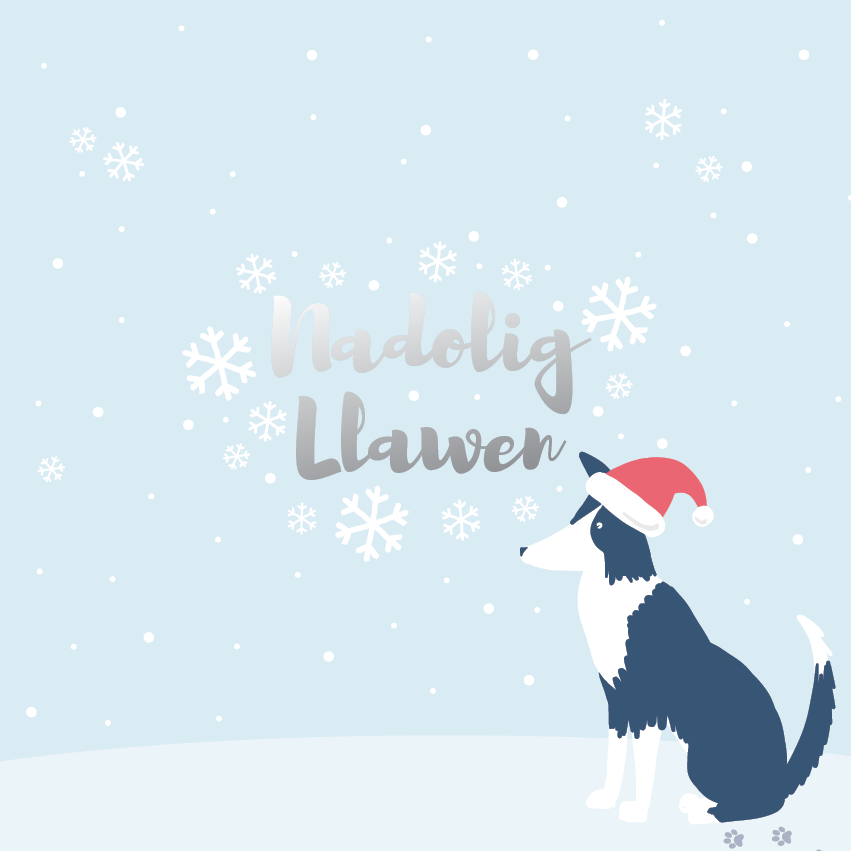 Christmas card &
