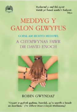 Meddyg y Galon Glwyfus-Gofal am Iechyd Meddwl a Chymwynas Fawr Dr Davi D Enoch