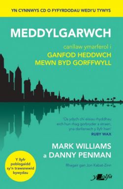 Darllen yn Well: Meddylgarwch - Canllaw Ymarferol i Ganfod Heddwch Mewn Byd Gorffwyll *