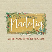 Llyfr Bach Nadolig - slightly damaged *