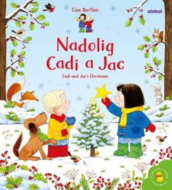 Nadolig Cadi a Jac / Poppy and Sam’s Christmas