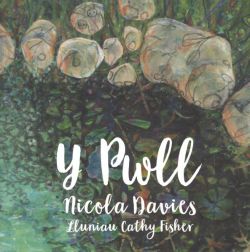 Pwll, Y +