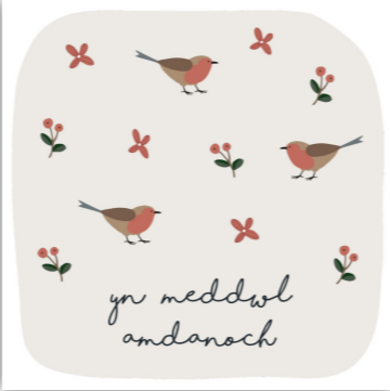 Christmas Card 'Yn Meddwl Amdanoch' - 'Thinking of You' robins
