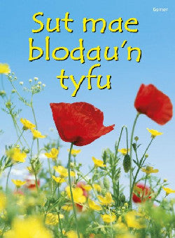 Cyfres Dechrau Da: Sut Mae Blodau&