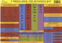 Treigladur, Y / Mutations Map, The