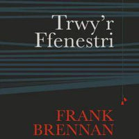 Cyfres Amdani: Trwy'r Ffenestri