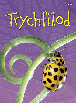 Cyfres Dechrau Da: Trychfilod