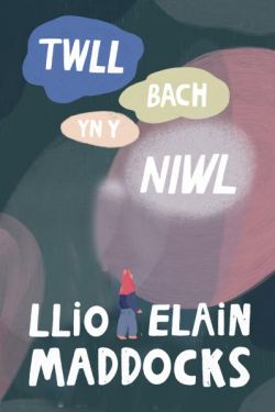 Twll Bach yn y Niwl *