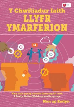 Chwiliadur Iaith, Y: Llyfr Ymarferion